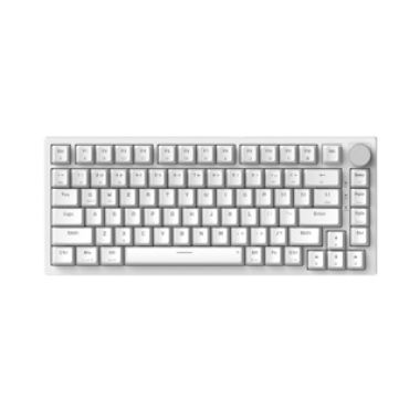 BÀN PHÍM CƠ NEWMEN GM326 White / Type C / Hotswap