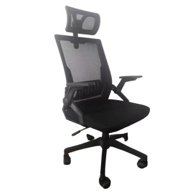 GHẾ CÔNG THÁI HỌC EDRA ECC218