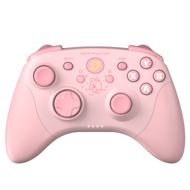Tay cầm game DareU H101X Wireless Back ( Black / Pink)