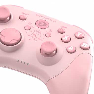 Tay cầm game DareU H101X Wireless Back ( Black / Pink)