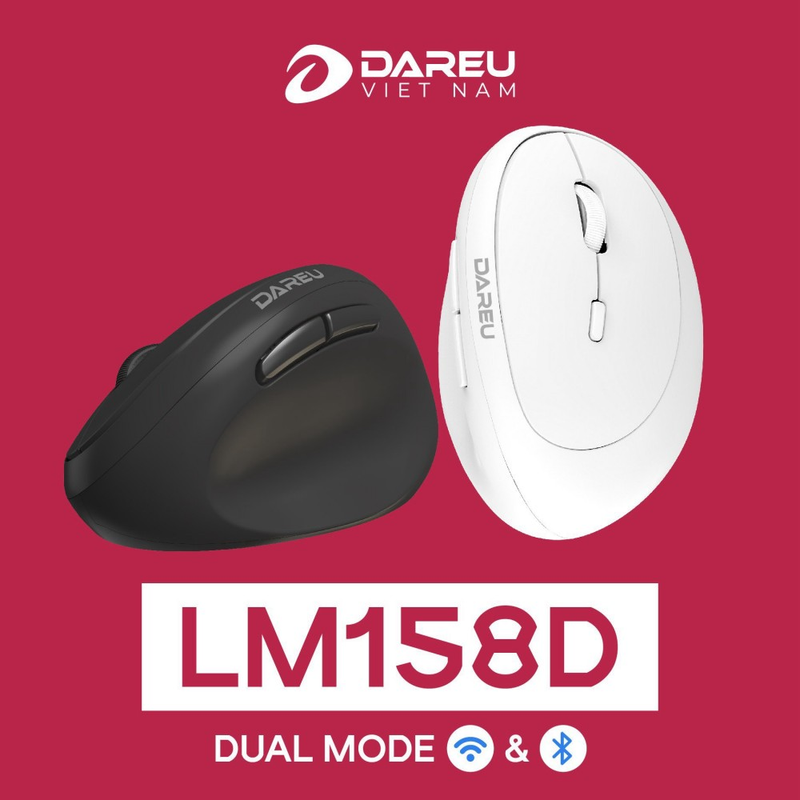Chuột không dây DAREU LM158D | ERGO | Bluetooth + 2.4G