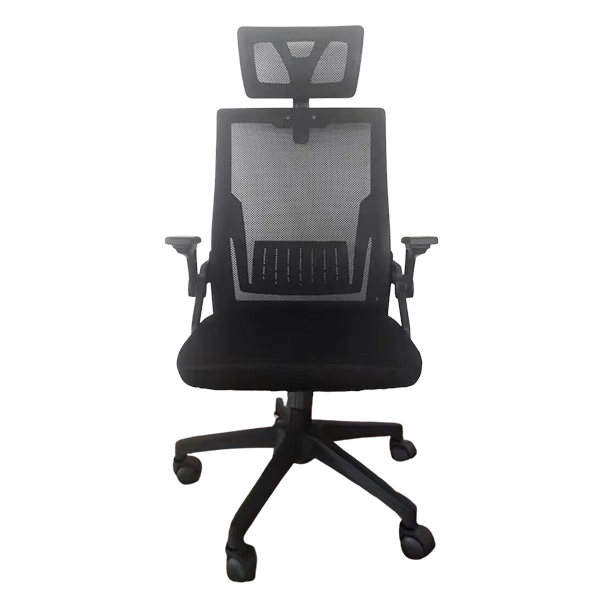 GHẾ CÔNG THÁI HỌC EDRA ECC218