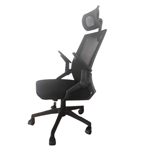 GHẾ CÔNG THÁI HỌC EDRA ECC218