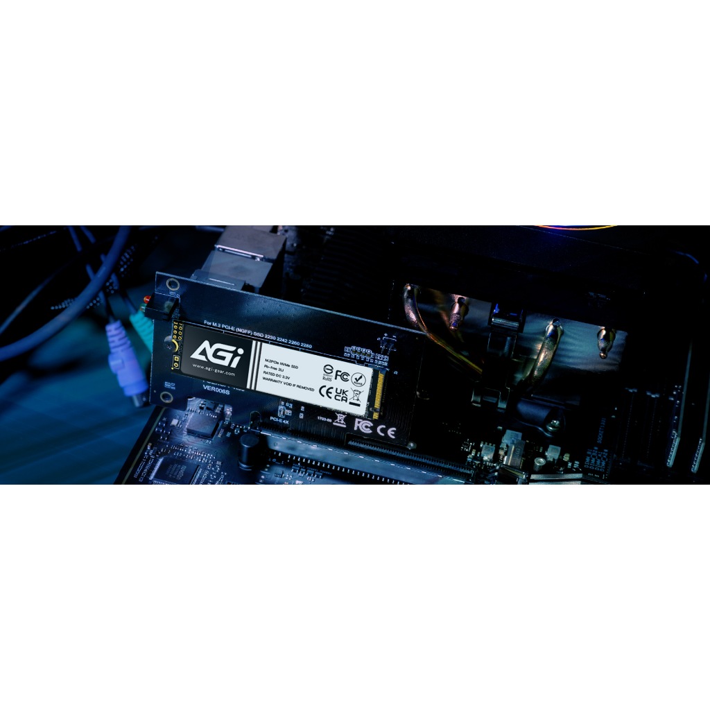 Ổ Cứng SSD NVMe AGI AI198 256GB Gen 3x4