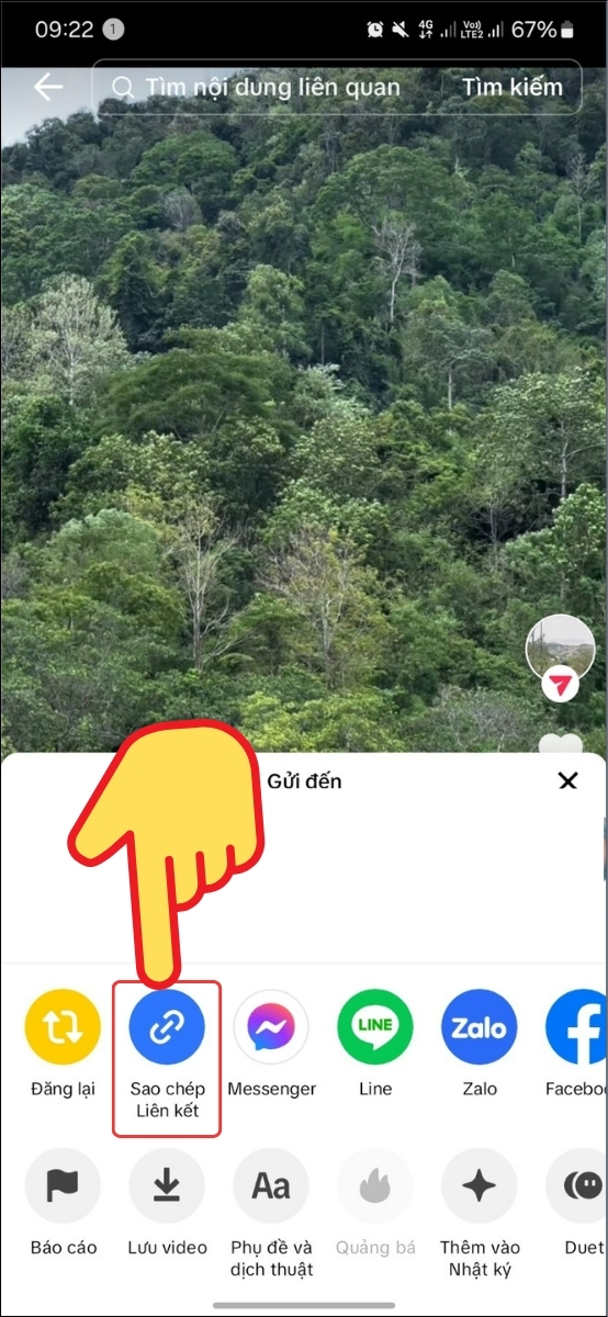 Tải video Tiktok không có logo